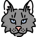 gato icon