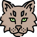 gato icon