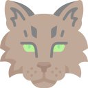 gato icon