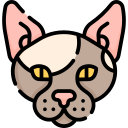 gato icon