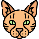 gato icon