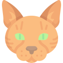 gato icon