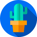 cactus icon