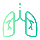 pulmones icon