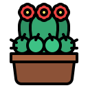 cactus icon