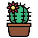 cactus icon