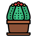 cactus icon