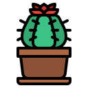 cactus icon