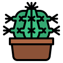 cactus icon