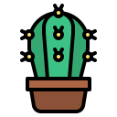 cactus icon