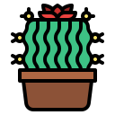 cactus icon