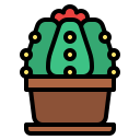 cactus icon