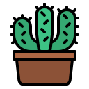 cactus icon