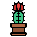 cactus icon