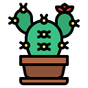 cactus icon