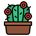 cactus icon