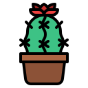 cactus icon