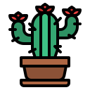 cactus icon