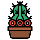 cactus icon