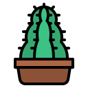 cactus icon