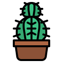 cactus icon