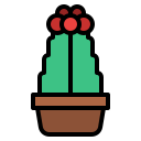 cactus icon