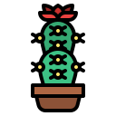 cactus icon