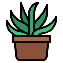 cactus icon