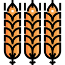 trigo icon