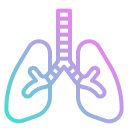 pulmones icon