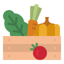 caja de verduras icon