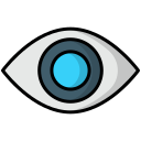 ojo icon