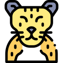 gato icon