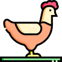 pollo icon