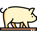 cerdo icon