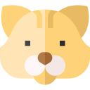 gato icon