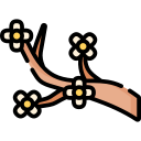 osmanthus