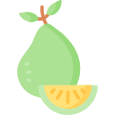 pomelo icon