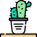 cactus icon