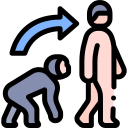 evolución icon