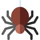 aranha 