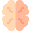 cerebro icon