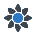 flor 