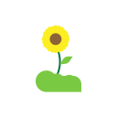 girasol icon