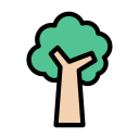 Árbol icon