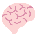 Órgano cerebral 