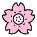 flor de cerezo icon