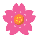 flor de cerezo icon