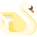 cisne