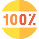 100 icon